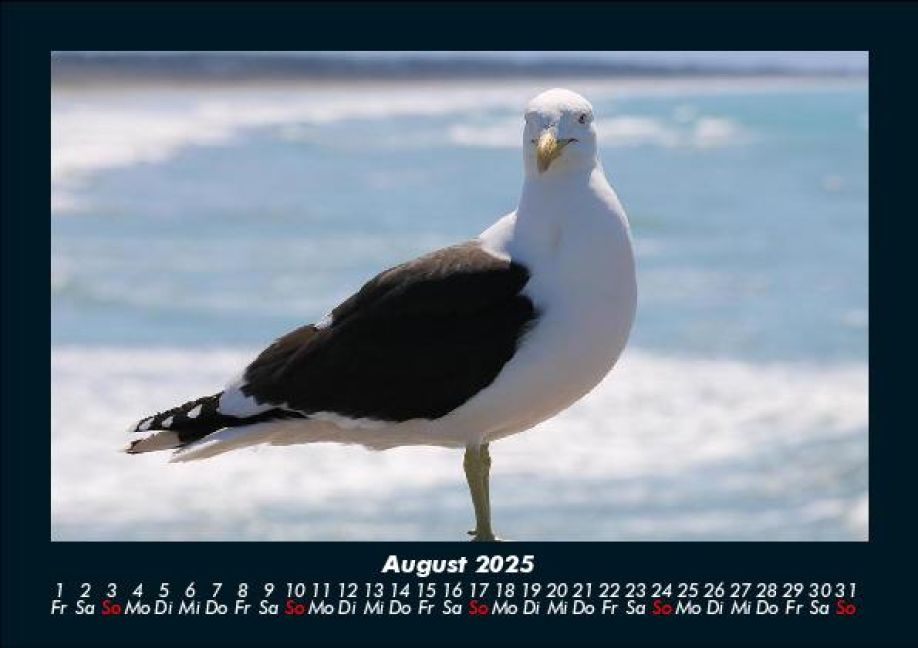 InsideView 12