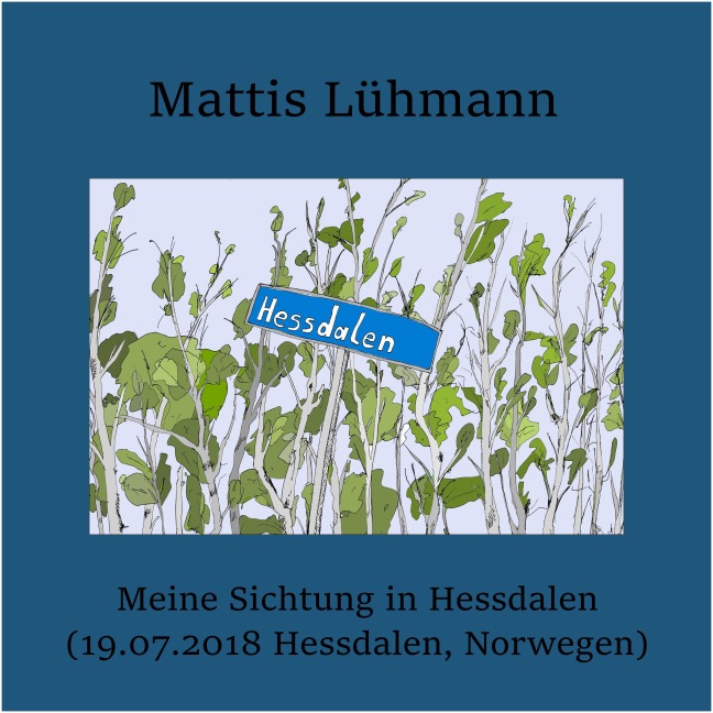 Meine Sichtung in Hessdalen (19.07.2018 Hessdalen, Norwegen) - Mattis Lühmann, Mattis Lühmann