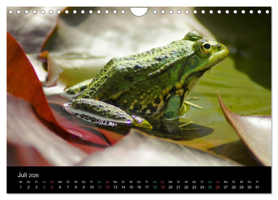 InsideView 12