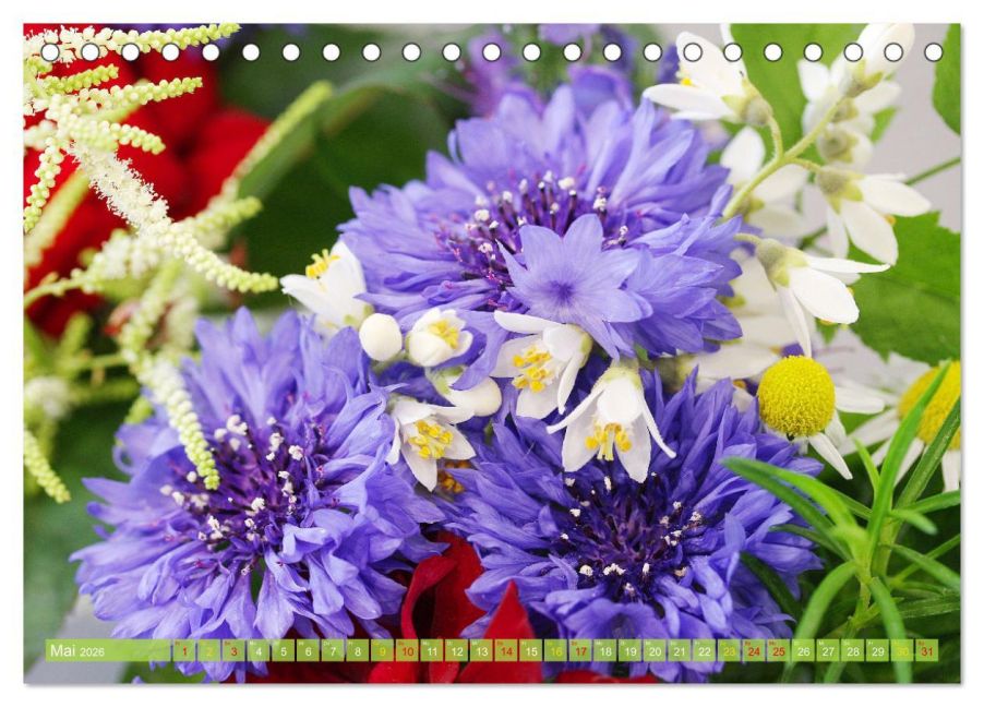 InsideView 10