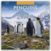 Penguins - Pinguine 2026 - 16-Monatskalender - Robin Red