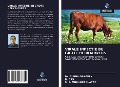 Cover-Bild zum Titel 'VIRALE INFECTIE BIJ GROTE HERKAUWERS' von 'Subha Ganguly, R. Das, S. K. Mukhopadhayay'