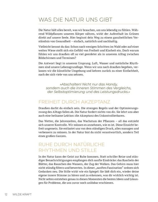 InsideView 5