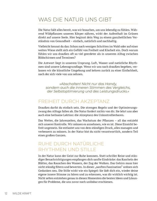 InsideView 5
