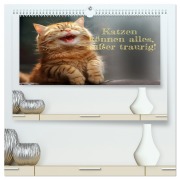 Katzen können alles, außer traurig. (hochwertiger Premium Wandkalender 2026 DIN A2 quer), Kunstdruck in Hochglanz - Ki Rolf Skrypzak