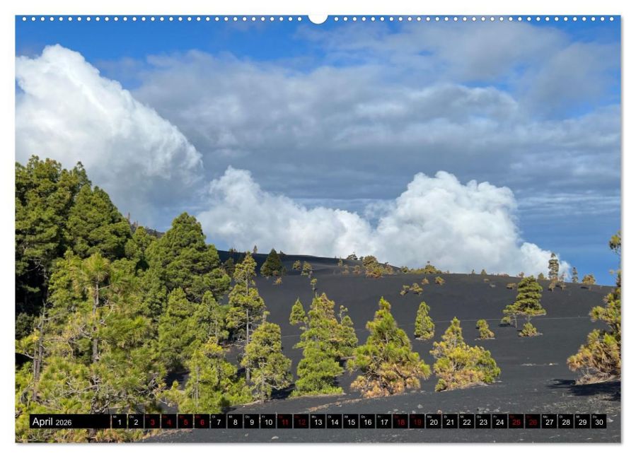 InsideView 8