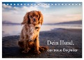 Dein Hund der treue Begleiter (Tischkalender 2025 DIN A5 quer), CALVENDO Monatskalender - Frank Gayde