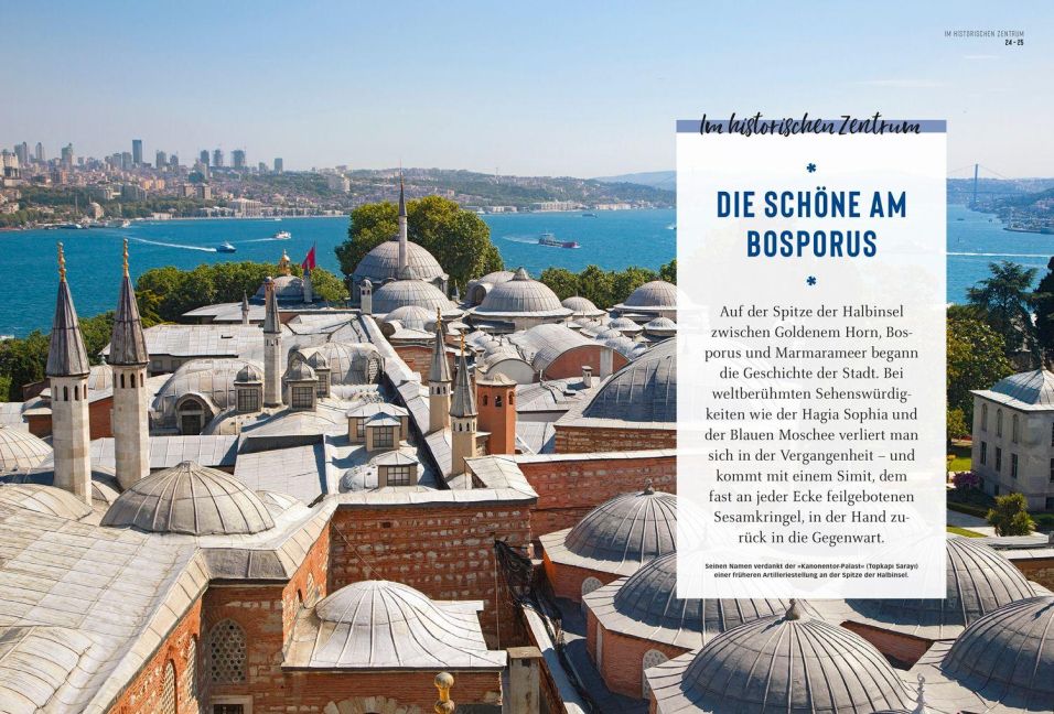 InsideView 8