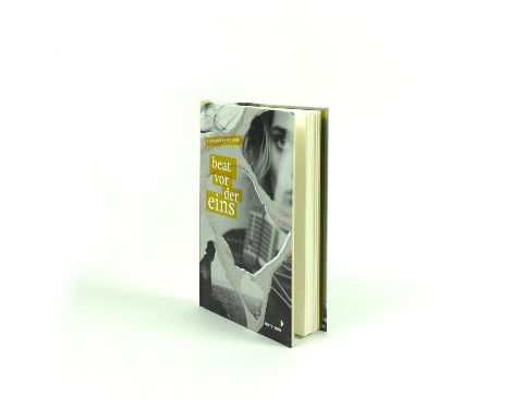 InsideView 2