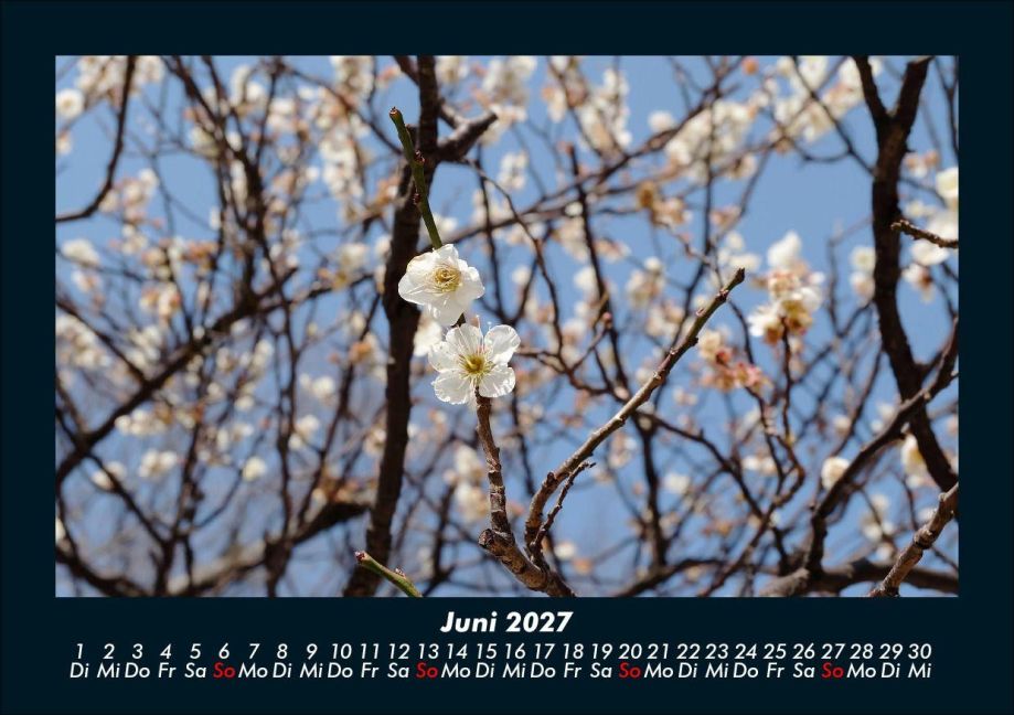 InsideView 10