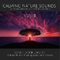 Cover-Bild zum Titel 'Calming Nature Sounds Vol. II with Relaxing Music for Healing, Meditation and Sleeping' von 'Yella A. Deeken'