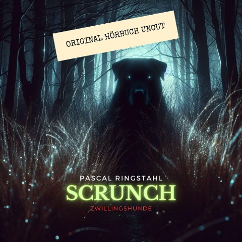 Scrunch - Pascal Ringstahl