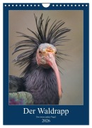 Cover-Bild zum Titel 'Der Waldrapp - Der etwas andere Vogel (Wandkalender 2026 DIN A4 hoch), CALVENDO Monatskalender' von 'Cloudtail The Snow Leopard'
