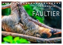 Cover-Bild zum Titel 'Abhängen - Faultier (Tischkalender 2026 DIN A5 quer), CALVENDO Monatskalender' von 'Peter Roder'