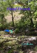 Cover-Bild zum Titel 'Dead Drunk (Clint Faraday Mysteries, #47)' von 'C. D. Moulton'