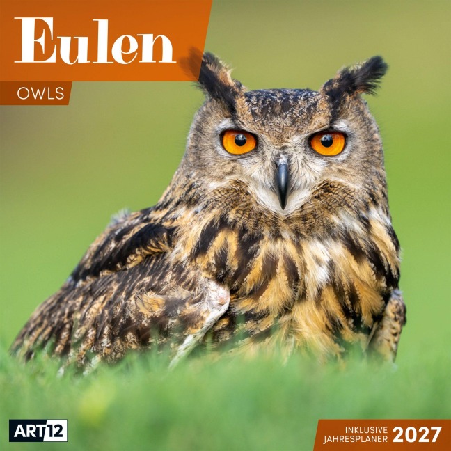 Eulen Kalender 2027 - 30x30 - Art12 - Ackermann Kunstverlag GmbH