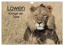Cover-Bild zum Titel 'Löwen - Könige der Tiere (Wandkalender 2026 DIN A4 quer), CALVENDO Monatskalender' von 'Stefan Sander'