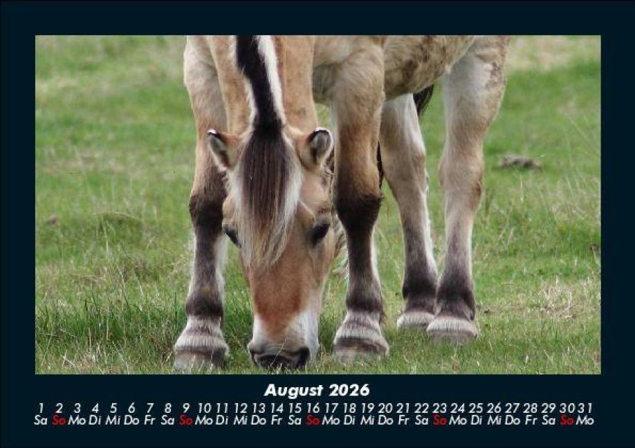 InsideView 12