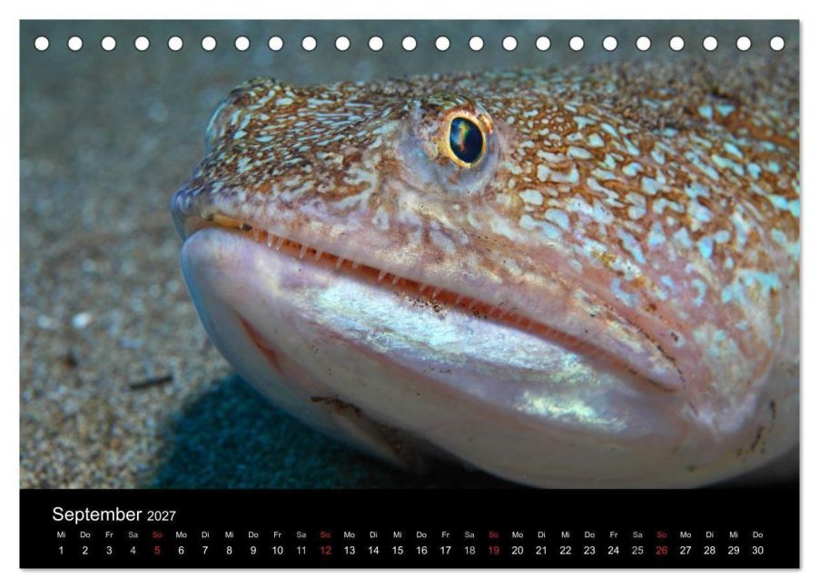 InsideView 14
