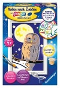 Cover-Bild zum Titel 'Ravensburger Malen nach Zahlen 28772 - Nachteule - Kinder ab 7 Jahren' von ''