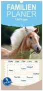 Cover-Bild zum Titel 'Familienplaner 2027 - Haflinger mit 5 Spalten (Wandkalender, 21 x 45 cm) CALVENDO' von 'Nicole Noack'
