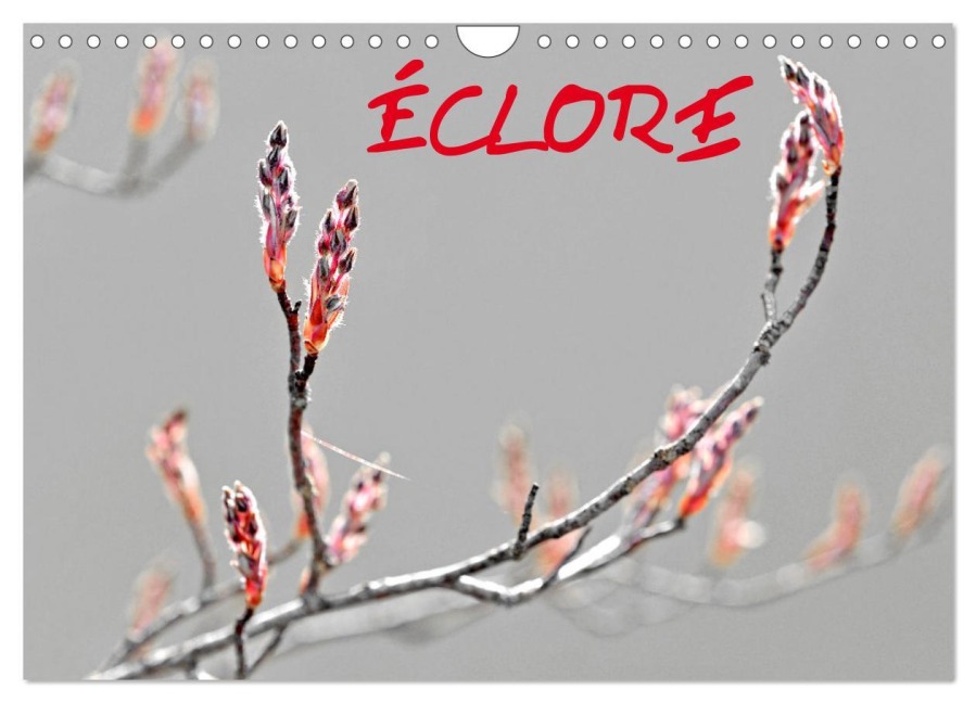 ÉCLORE (Calendrier mural 2026 DIN A4 vertical), CALVENDO calendrier mensuel - Patrice Thébault