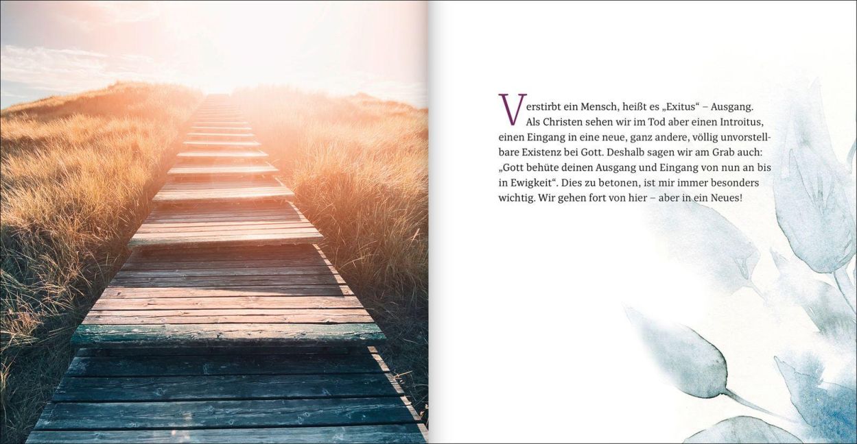 InsideView 11