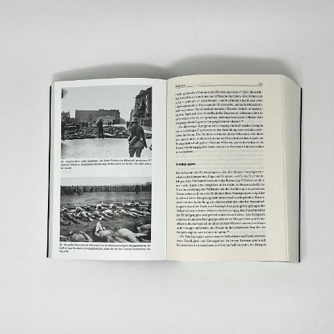 InsideView 13
