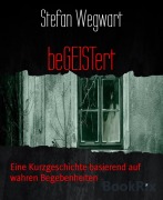 beGEISTert - Stefan Wegwart