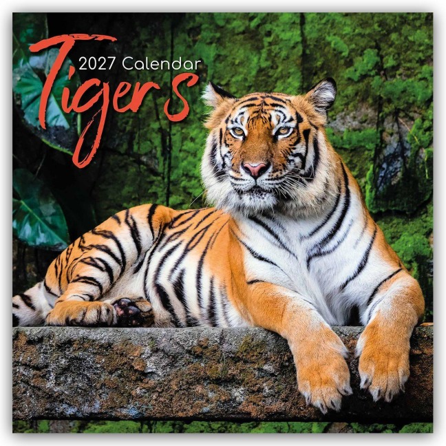 Tigers - Tiger 2027 - 16-Monatskalender - The Gifted