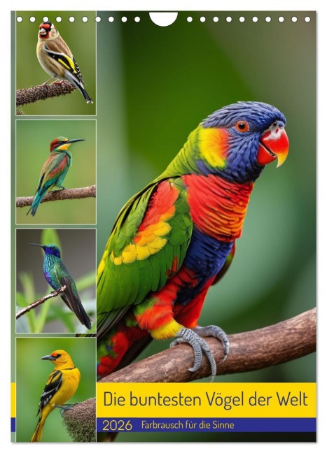 Die buntesten Vögel der Welt (Wandkalender 2026 DIN A4 hoch), CALVENDO Monatskalender - Claudia Kleemann