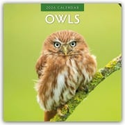 Owls - Eulen 2026 - 16-Monatskalender - Robin Red