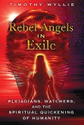 Cover-Bild zum Titel 'Rebel Angels in Exile' von 'Timothy Wyllie'