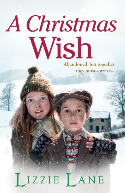 A Christmas Wish - Lizzie Lane