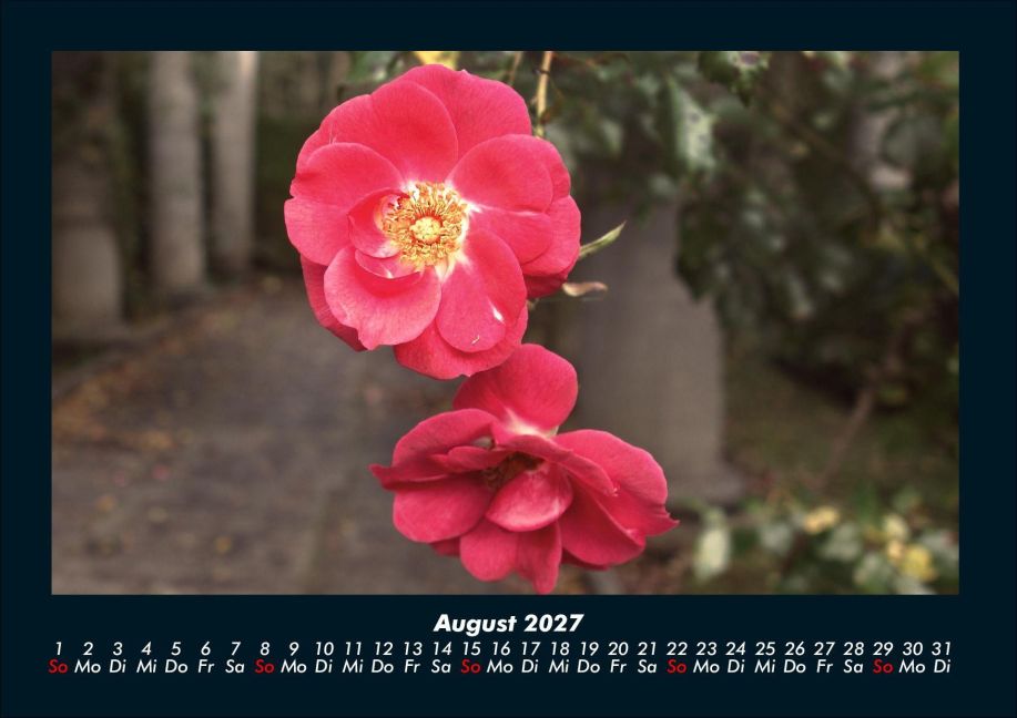 InsideView 12