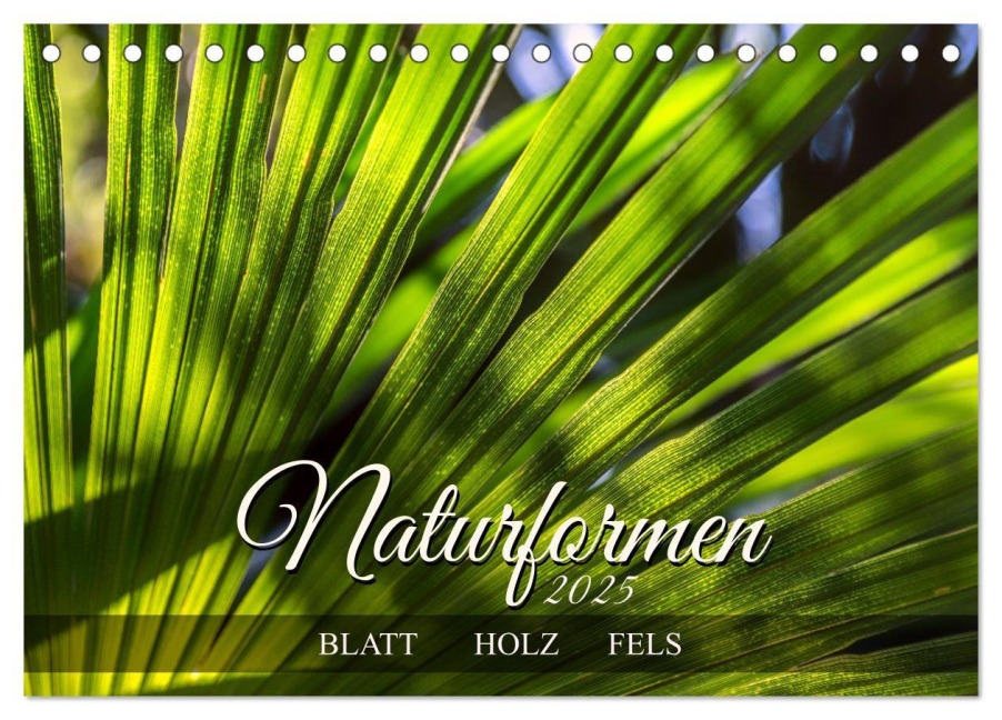 Naturformen, Blatt, Holz, Fels (Tischkalender 2025 DIN A5 quer), CALVENDO Monatskalender - Werner Braun