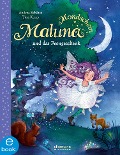 Cover-Bild zum Titel 'Maluna Mondschein und das Feengeschenk' von 'Andrea Schütze'