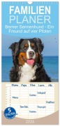 Familienplaner 2026 - Berner Sennenhund - Ein Freund auf vier Pfoten mit 5 Spalten (Wandkalender, 21 x 45 cm) CALVENDO - Sigrid Starick