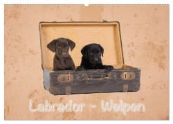 Labrador - Welpen (Wandkalender 2025 DIN A2 quer), CALVENDO Monatskalender - Heiko Eschrich -Heschfoto