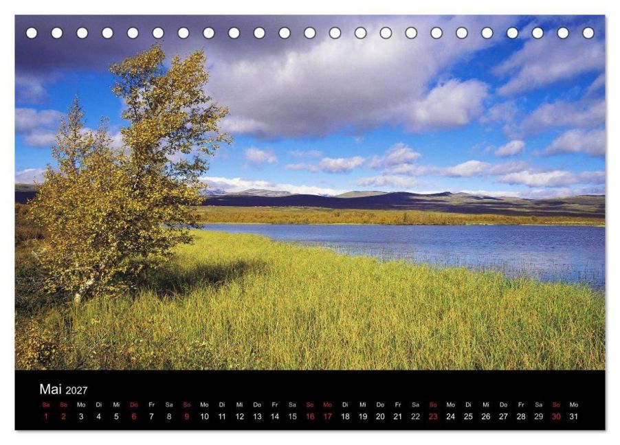 InsideView 10