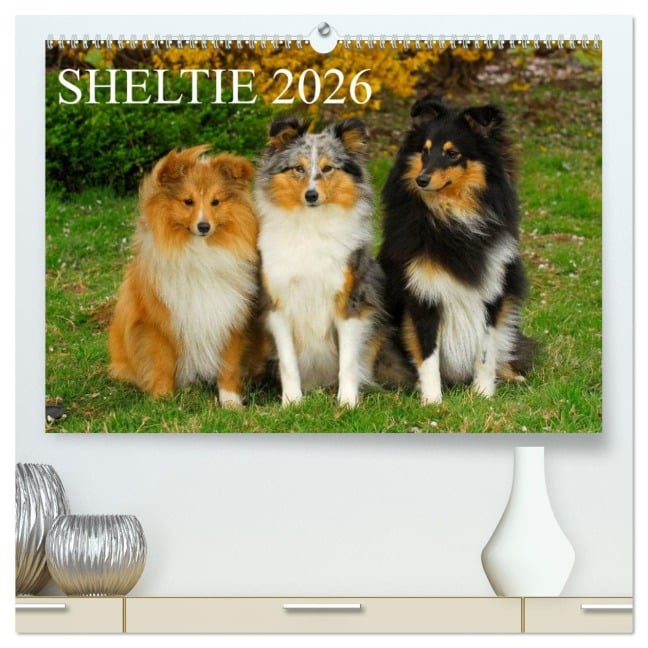 Sheltie 2026 (hochwertiger Premium Wandkalender 2026 DIN A2 quer), Kunstdruck in Hochglanz - Sigrid Starick