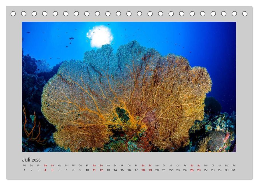 InsideView 12