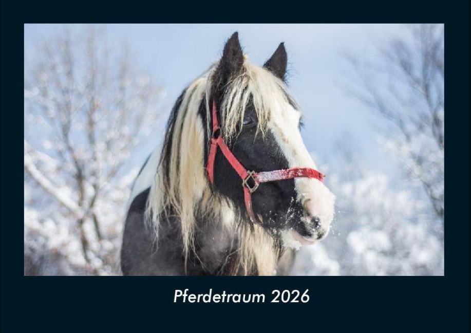 Pferdetraum 2026 Fotokalender DIN A4 - Tobias Becker