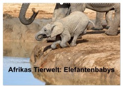 Cover-Bild zum Titel 'Afrikas Tierwelt: Elefantenbabys (Wandkalender 2026 DIN A2 quer), CALVENDO Monatskalender' von 'Michael Voß'