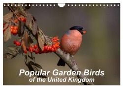 Cover-Bild zum Titel 'Popular garden birds of the united kingdom (Wall Calendar 2026 DIN A4 landscape), CALVENDO 12 Month Wall Calendar' von 'Alan Tunnicliffe'