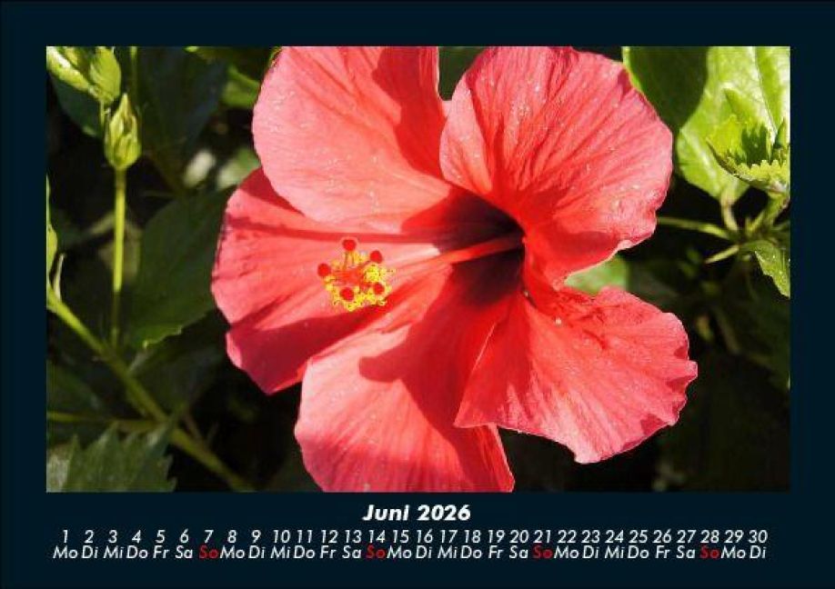 InsideView 10