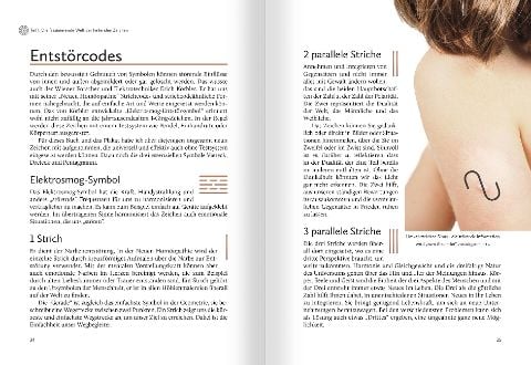 InsideView 3