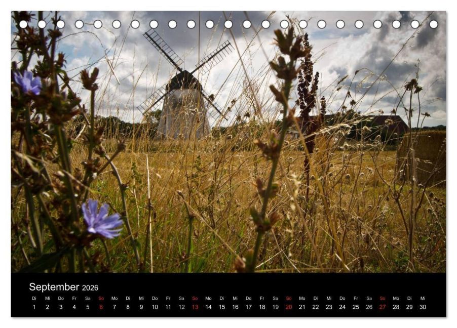 InsideView 14
