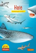 Cover-Bild zum Titel 'Pixi Wissen 46: VE5 Haie' von 'Sophia Willmann'