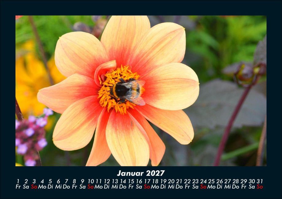 InsideView 5